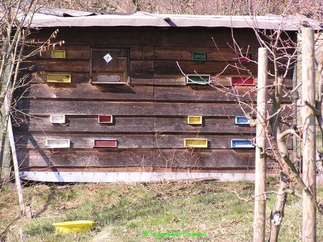 Bienenhaus mit Hinterbehandlungsbeuten